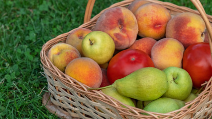 Fresh vegetables and fruits in basket