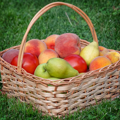 Fresh vegetables and fruits in basket