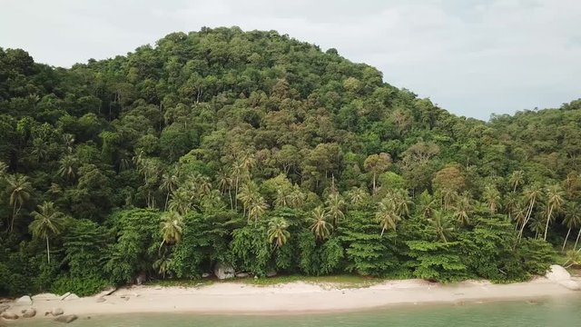 Aerial coastal with coconut and forest near Permatang Damar Laut.
