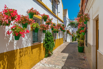 Fototapeta na wymiar The beautiful Estepona, little and flowery town in the province of Malaga, Spain.