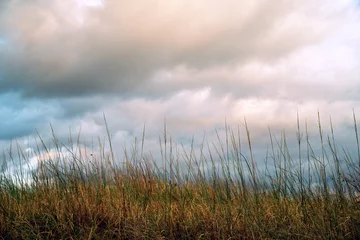 Foto op Plexiglas prairie grass against sky © claflin