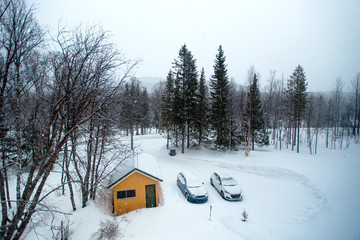 Norway. Small house stands in middle of forest, two cars are parked nearby