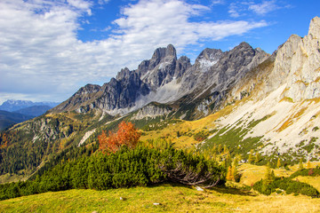 Die Bischofsmütze im Herbstkleid