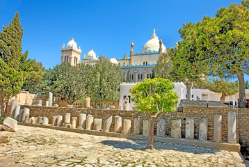 Katedra św Ludwika w kartaginie, Tunezja. © robnaw