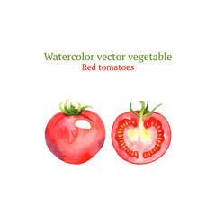 Watercolor vector tomatoes