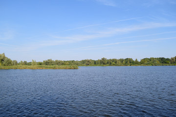 Gorgeous view of the lake and forest green. Nature.