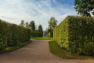 Alleys of the garden. Autumn Park in Pushkin. Saint-Petersburg. Morning.