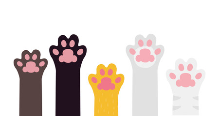 Cute pet paws rising up isolated on white background.