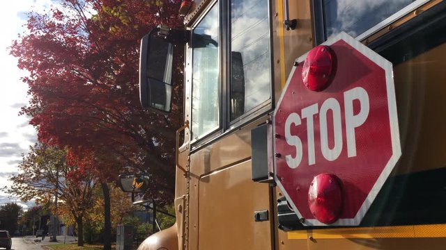 School bus stop sign autumn trees back to school