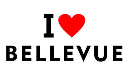 Bellevue city United States