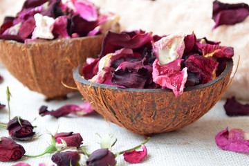 Rose blossom, Petals in coconut bowl, Pink flowers, Beauty background