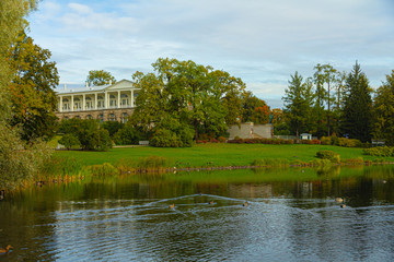 Autumn Park in Pushkin. Large pond. Saint-Petersburg. Morning.