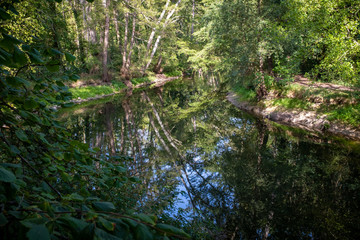 Fototapeta premium Sky and foliage reflecting on a calm river,