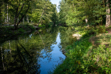 Fototapeta na wymiar Sky and foliage reflecting on a calm river,