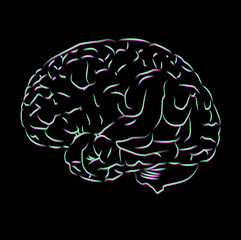brain vector illustration image distortion