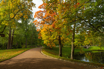 Autumn Park in Pushkin. Saint-Petersburg. Morning.