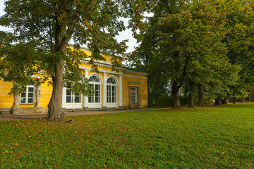 Autumn Park in Pushkin. Saint-Petersburg. Morning.