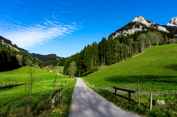 Fototapeta na wymiar Fresh green Austria Steiermark landscape with leading road a mountain peak and a shadow of a tree