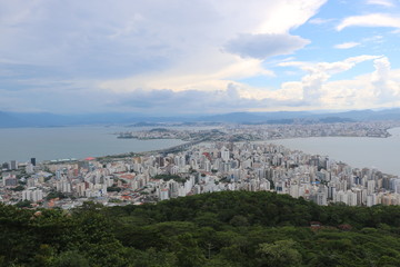 FANTASTIC VIEWS OF CITIES AND THEIR FLORA