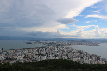 FANTASTIC VIEWS OF CITIES AND THEIR FLORA