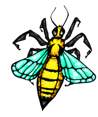 Honey bee vintage vector drawing. Hand drawn isolated insect sketch. Color illustrations. Great for logo, icon, label, packaging design.