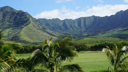 Fototapeta na wymiar Hawaii Inseln: Oahu, Kauai, Maui und Big Island.. traumhaft schön!