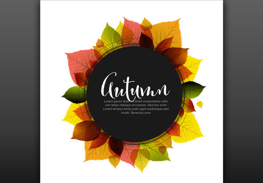 Autumnal Card Mockup with Leaf Illustrations