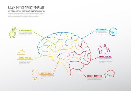 Infographic with Brain Illustration