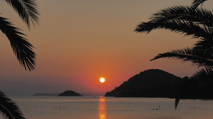 Beautiful sunset over sea landscape, palm tree silhouettes