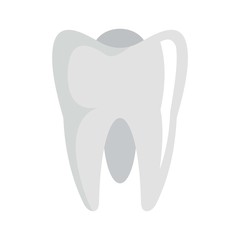 White tooth icon. Flat illustration of white tooth vector icon for web design