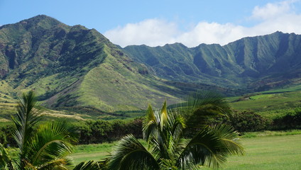 Hawaii Inseln: Oahu, Kauai, Maui und Big Island.. traumhaft schön!