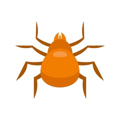 Cat mite icon. Flat illustration of cat mite vector icon for web design