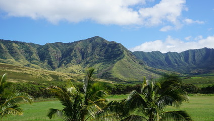 Fototapeta na wymiar Hawaii Inseln: Oahu, Kauai, Maui und Big Island.. traumhaft schön!