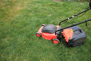 An electric lawn mower with a grass box and gloves is on the grass.