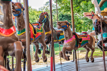 brown horses on a carousel at an amusement park