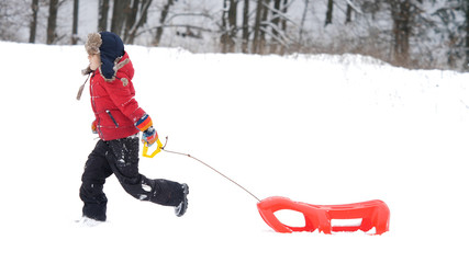 Happy child pull a sledge running happy in white nature, slow motion