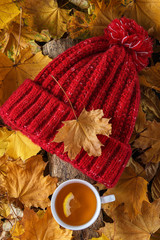 Autumn, yellow leaves, red hat and a cup of hot tea with lemon in the autumn forest.
