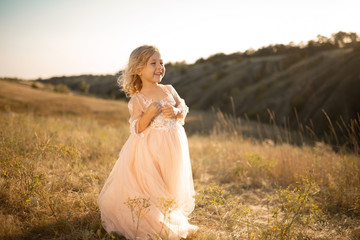 Portrait of a beautiful little princess girl in a pink dress. Posing in a field at sunset © Kate