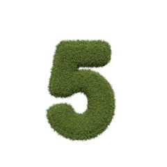 Grass number 5. Five.  Isolated on white background