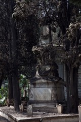 Obraz premium graveyard