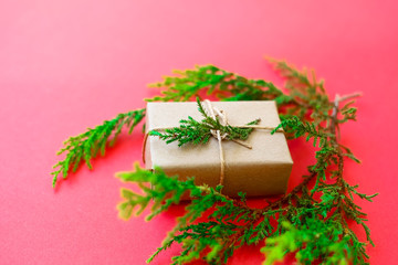 Bright green twigs of pine tree and a light gift box on the pink background. Copyspace christmas concept. 