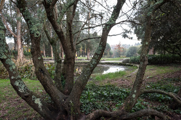 walking in the Oporto city park