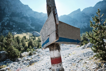 Two signs hanged on a birch tree indicating a crossroads in the mountains with empty space