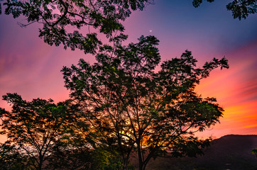 Fototapeta na wymiar Tropical sunset 
