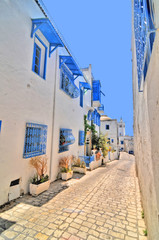 Sidi Bou Said - Białe miasteczko w pobliży stolicy Tunezji - Tunisu - obrazy, fototapety, plakaty