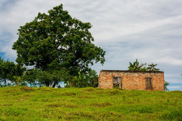 Obraz premium Casa Abandonada IMG_8336