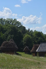 old house in the forest