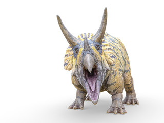 triceratops is angry on white background © DM7