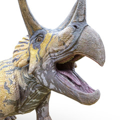 Fototapeta premium triceratops crying on white background