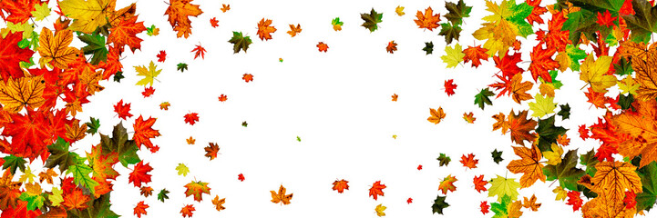Autumn leaves white background. Falling November pattern. Thanksgiving season concept